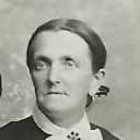 Ann Darling Wiley (1841 - 1917) Profile